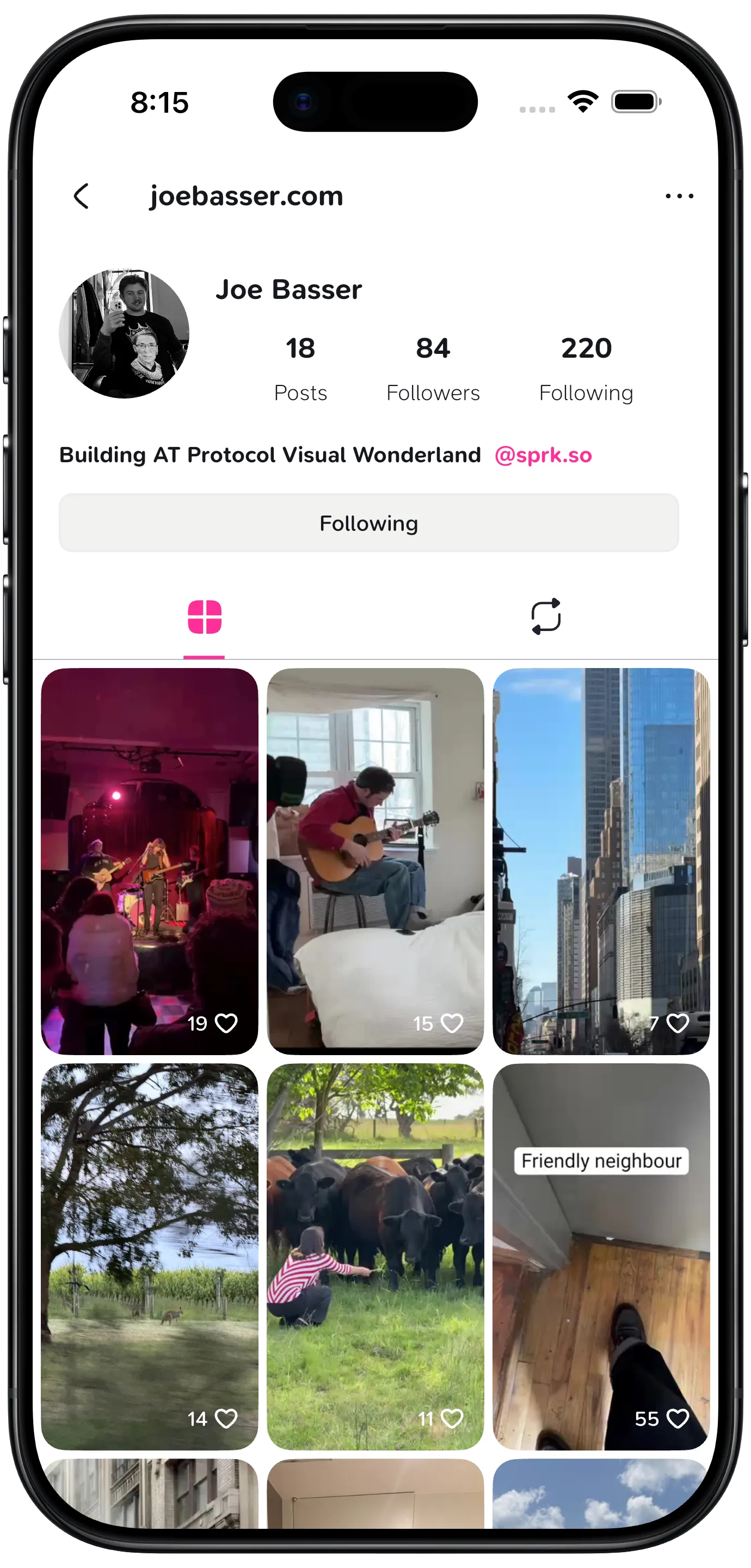 Preview of the Reelo app interface
